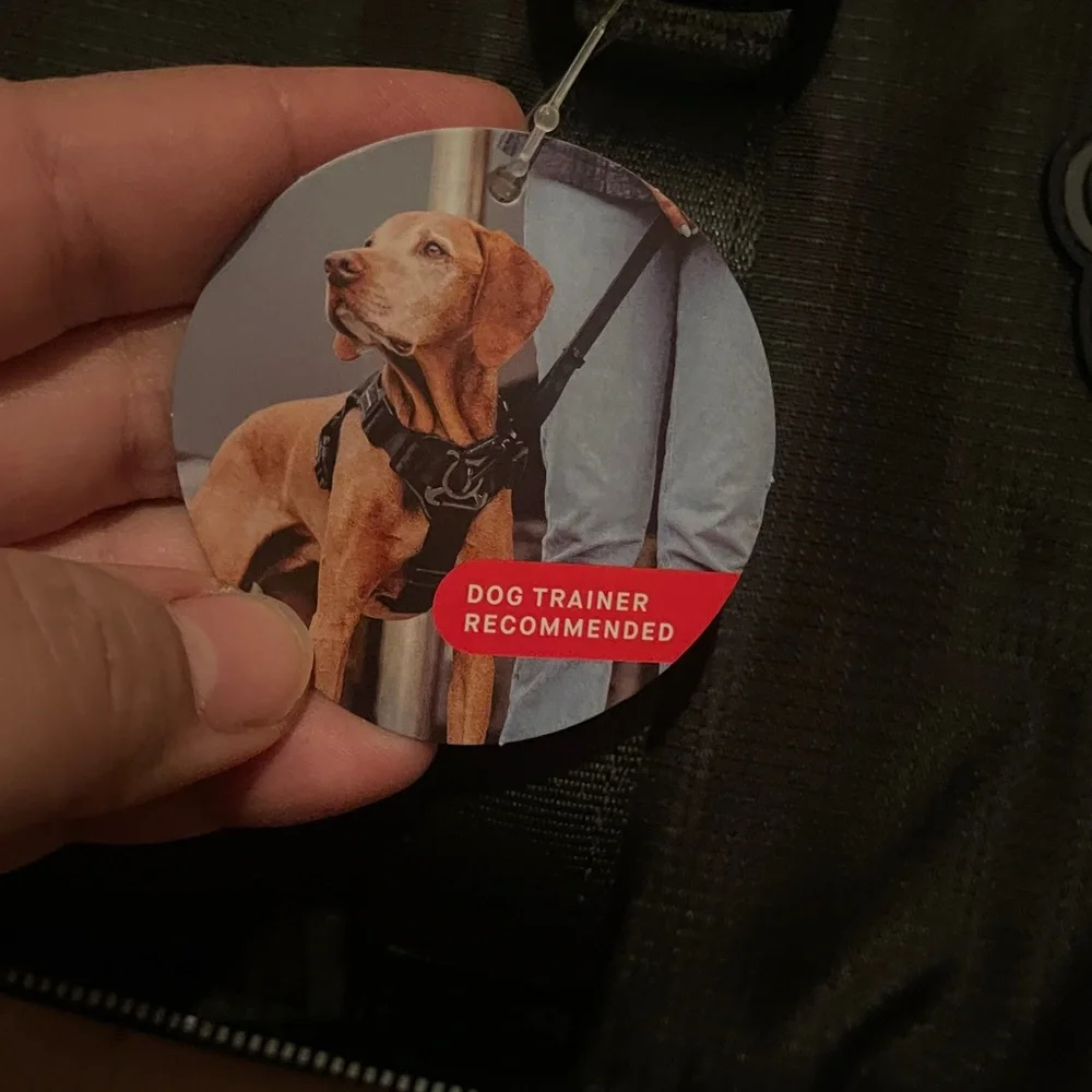 Canada Pooch Black Complete Control Dog Harness